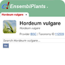 Ensembl plants screenshot